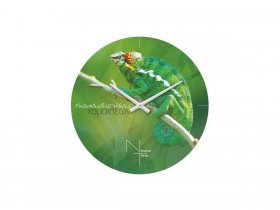 Часы настенные Nicole Time NT503 в Улыбино - ulybino.mebel-nsk.ru | фото